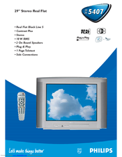 Philips 29PT5407 Specification Sheet