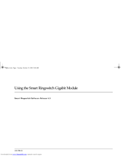 Ringdale Gigabit Using Manual