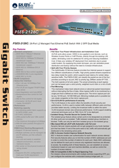 Ruby Tech PSES-2126C Technical Specifications