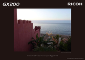 Ricoh GX200 Brochure & Specs