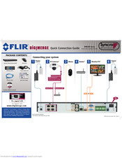 FLIR DIGIMERGE DNR200 Series Quick Connection Manual