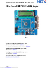 NGX Technologies BlueBoard-RL78/G13/G14_64pin Quick Start Manuals
