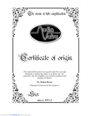 Audiovalve ASSISTENT 100 Mark 2 Owner's Manual