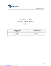 Bueno Electric BUE-801 User Manual