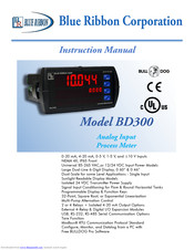 Blue Ribbon BD300-10 Instruction Manual