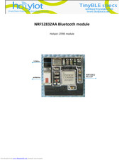 Holyiot NRF52832AA User Manual