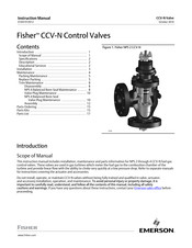 Emerson Fisher CCV-N Instruction Manual