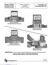 Badger Meter Orion 64989-002 Installation & Operation Manual