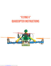 Flybrix Flying V Instructions Manual