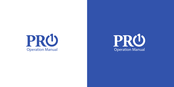 Pro1 Technologies RZ251W Operation Manual
