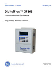GE DigitalFlow GF868 Programming Manual