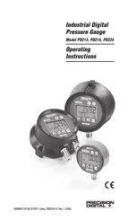 PRECISION DIGITAL PD213 Operating Instructions Manual