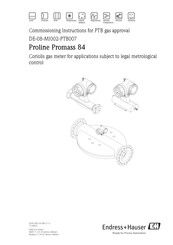 Endress+Hauser Proline Promass 84 Commissioning Instructions