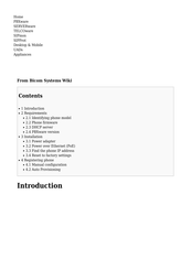 Denwa Communications DW-210P Configuration Manual