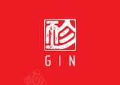 Gin Gliders Gingo Airlite M Manual