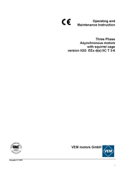 VEM YP Series Operating And Maintenance Instruction Manual
