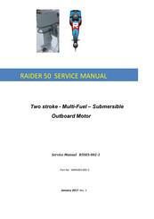 Raider 50 Service Manual