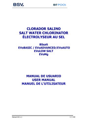BSV BSsalt-10 User Manual