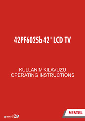 VESTEL 42PF6025b Operating Instructions Manual