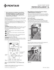 Pentair Pentek Intellidrive XL Quick Start Manual