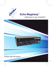 Echo MegaLoop Manual
