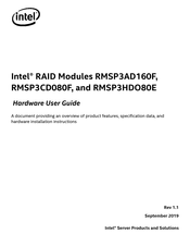Intel RMSP3HDO80E Hardware User's Manual