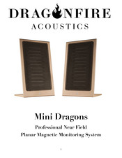 DRAGONFIRE Mini Dragon Manual