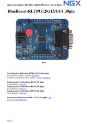 NGX Technologies BLUEBOARD-RL78 Quick Start Manual