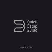 Blue Sound N100 Quick Setup Manual