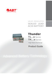Abt TM12-800W Product Manual