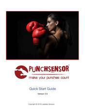 Loadstar Sensors Punchsensor Quick Start Manual