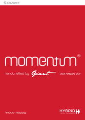 Giant Momentum User Manual