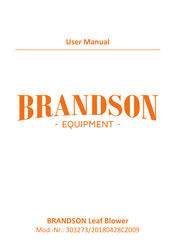 Brandson 303273/20180428CZ009 User Manual