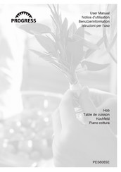 Progress PES6065E User Manual