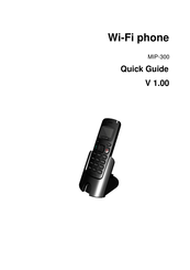 AEI MIP-300 Quick Manual