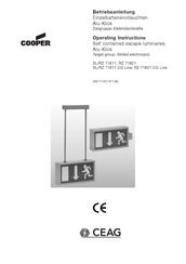 Cooper CEAG RZ 71821 CG Line Operating Instructions Manual