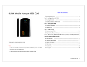 BLINK R536 Quick Start Manual