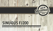 STEAMAX SINUOUS FJ200 User Manual