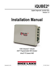 Rice Lake iQUBE2 920i Installation Manual