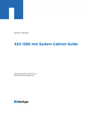 NetApp 42U 1280 mm System Cabinet Manual