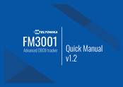 Teltonika FM3001 Quick Manual