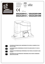 V2 ELETTRONICA GOLD120V-DM Instructions Manual