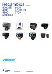 Pentair Pool Products Blaulain Recambios FLECK 5600SXT Service Manual