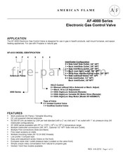 american flame AF-4000 Series Manual