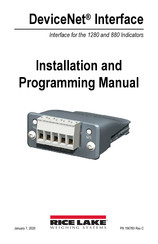 Rice Lake DeviceNet Installation And Programming Manual