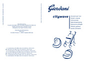 Giordani citywave Owner's Manual
