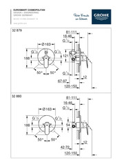 Grohe Eurosmart Cosmopolitan 32 879 Manual