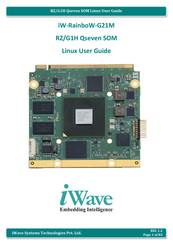 iWave iW-RainboW-G21M User Manual
