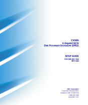 EMC CX300i Setup Manual