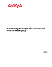 Avaya S8730 Maintaining Manual
